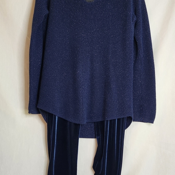 a.n.a Deep Blue Metalic Knit Sweater Size M. And Velour Time & True Leggings M - Picture 1 of 14